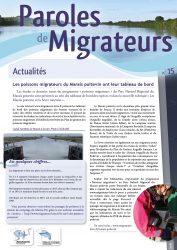 Icon of Paroles De Migrateurs N15